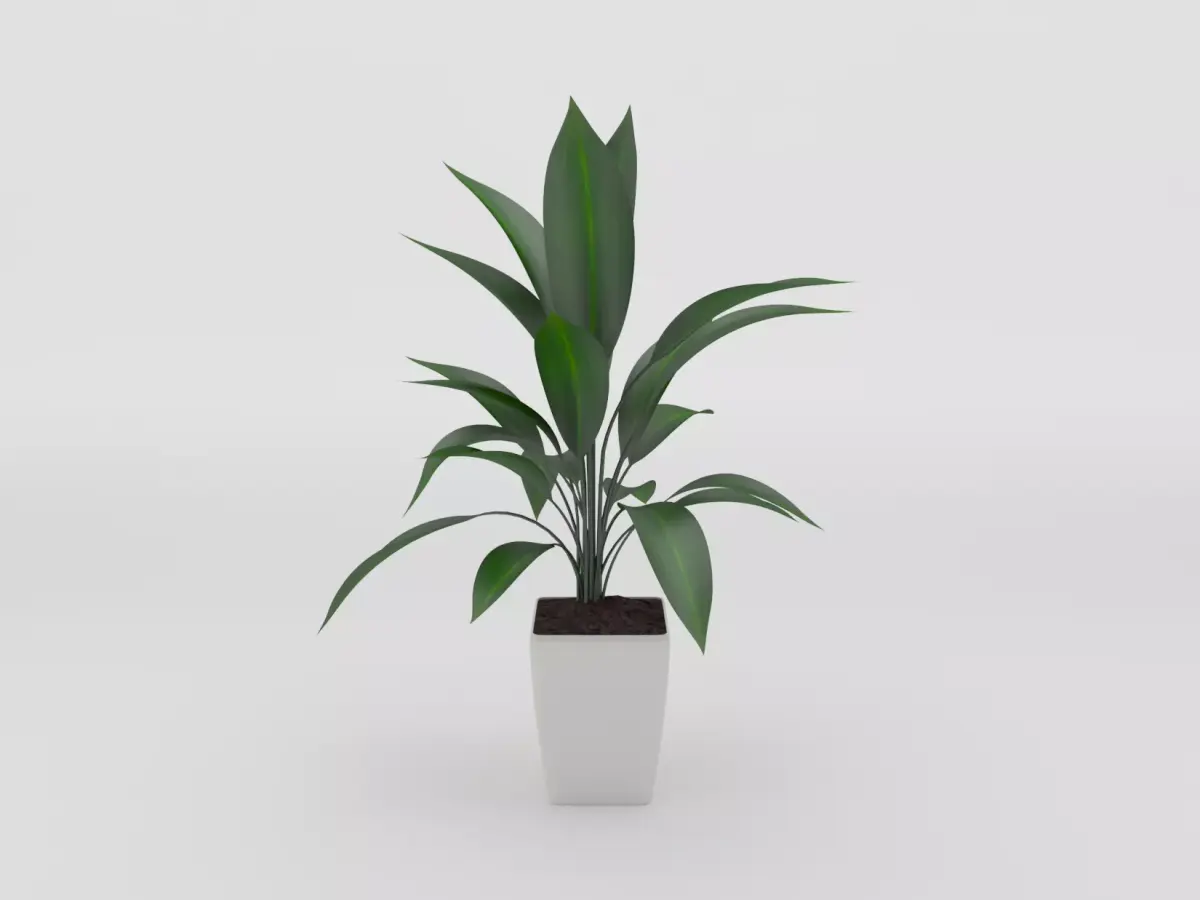 Green Potted Plant 3d Model Free 3D model