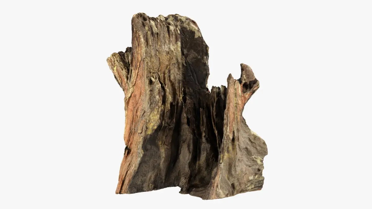 Tree Trunk Piece 16 3D model
