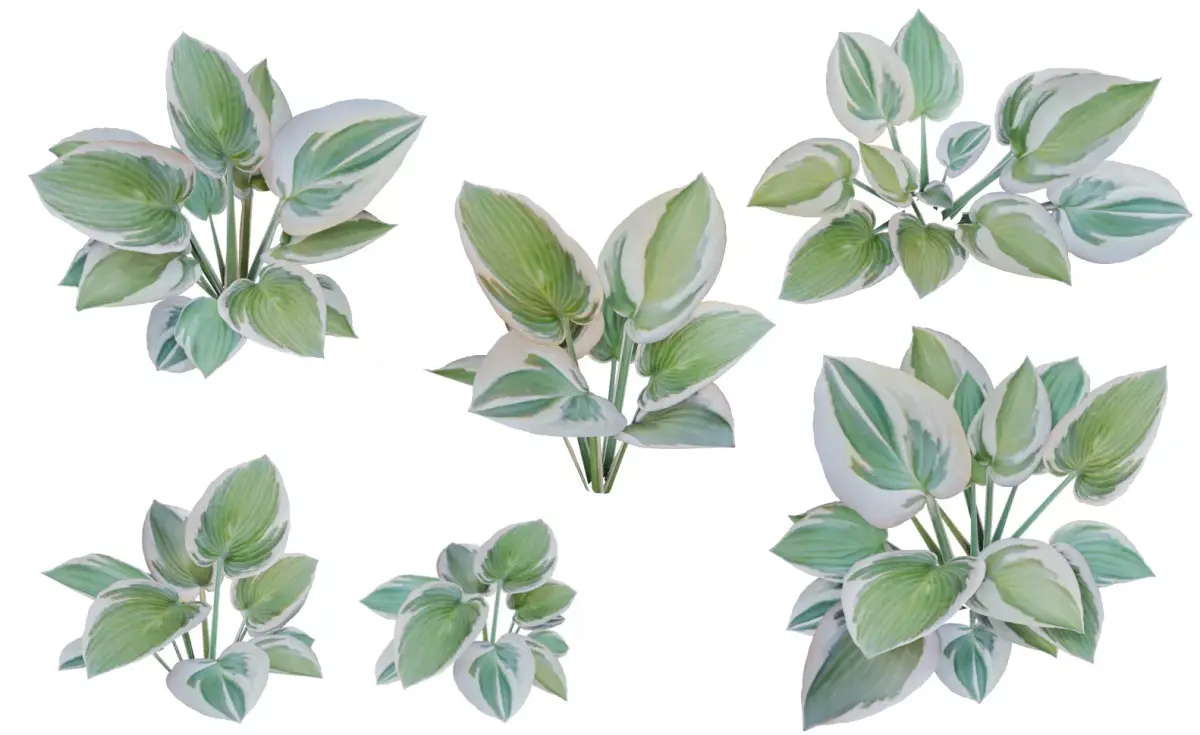 Small plants - low poly - 6 Variations - 281 Models Free low-poly 3D model