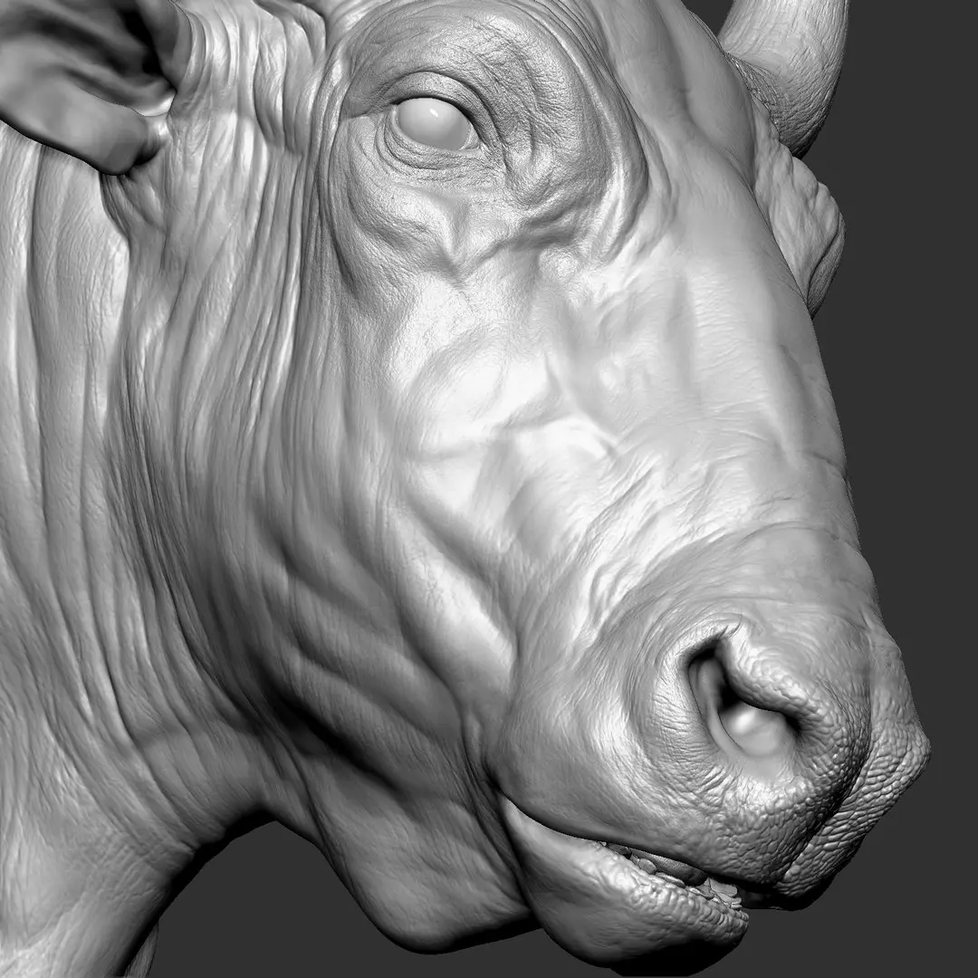 Bizon Bison bison most VFX Zbrush Sculpture Digitale 3D model