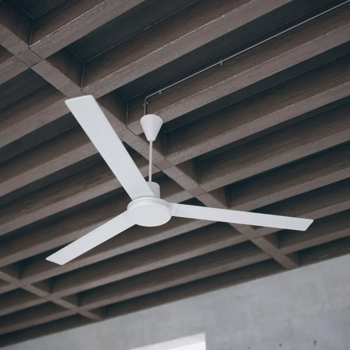 Simple Ceiling Fan Free 3D model