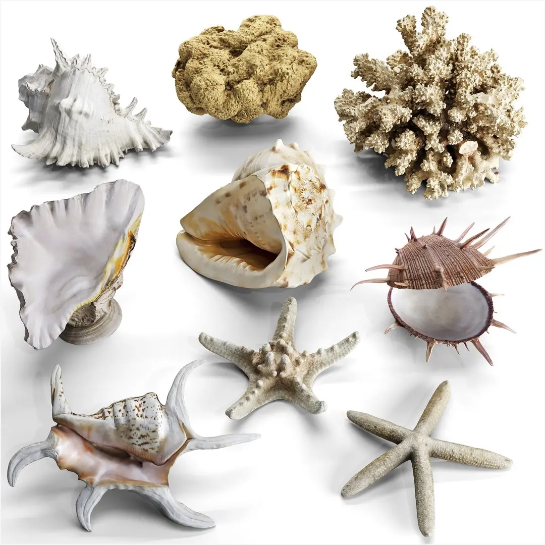 Ultimate Marine Bundle 9 Professional Photogrammetry Scans 8K PBR 3D model