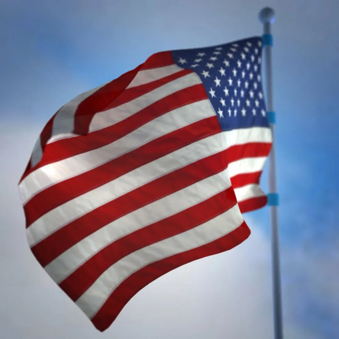 Animated Flag 3D model