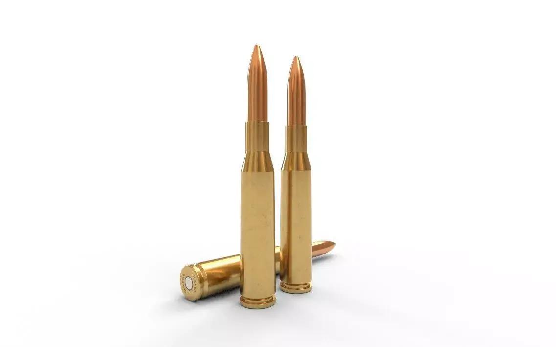 65x58mm Vergueiro Ammo Low-poly 3D model
