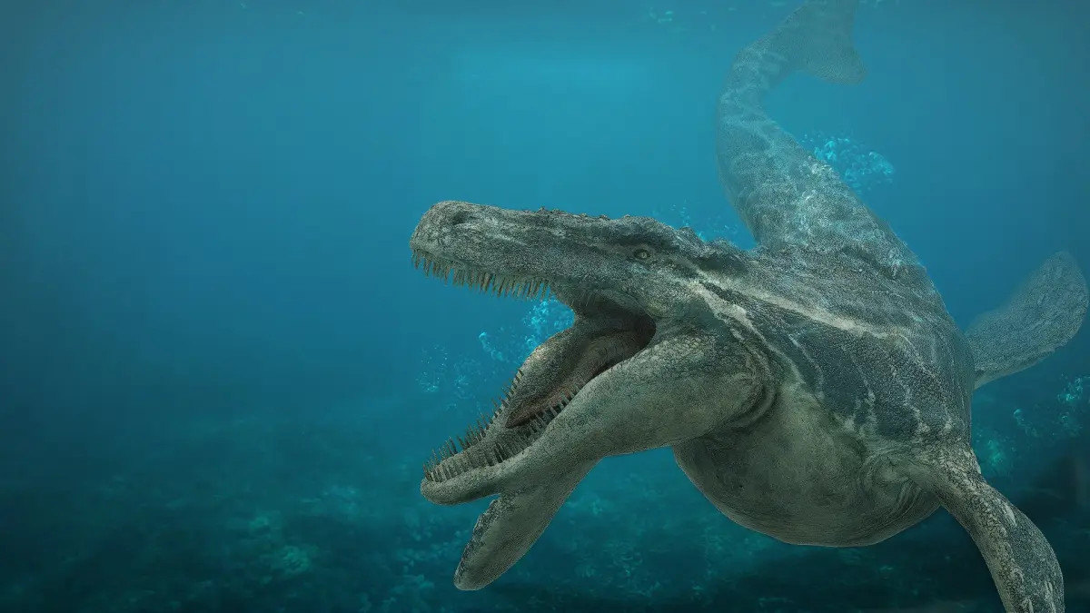 Mosa saurus (Rigged) 3D model