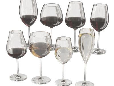  Full Wine Glasses Model 