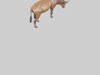 Hartebeest grazing model Low-poly 3D model