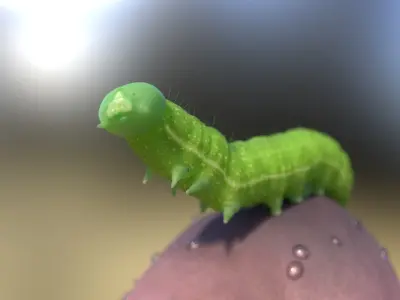 Caterpillar insect rigged 3D model