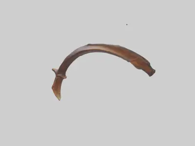 Moose Rib Low-poly 3D model