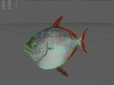 Lampridae Low-poly 3D model