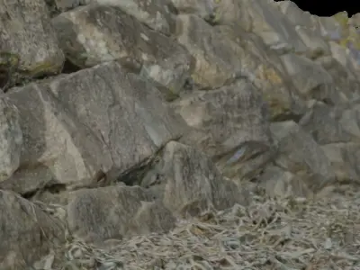 Korean Traditional Stone Wall 3D model