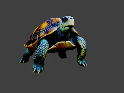 Turtle - Tortoise Animal Low-poly 3D model