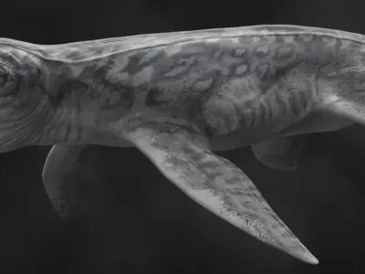 Kronosaurus Low-poly 3D model