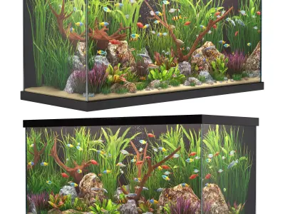 Aquarium 2 3D model