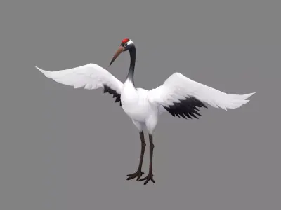 Cartoon White Crane - Red crowned Crane Low-poly 3D model