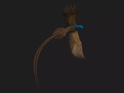 PheasantBird B1 Free low-poly 3D model