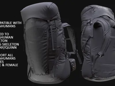 Backpack 226 - All MH Bodies - UE5 Skeletons - Rigged Low-poly 3D model