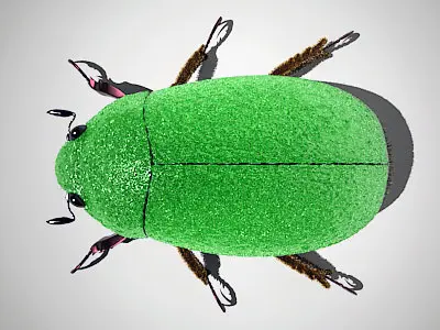 Scarab beetle 3D model