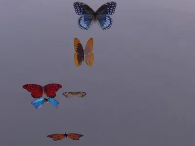 Butterflies Low-poly 3D model