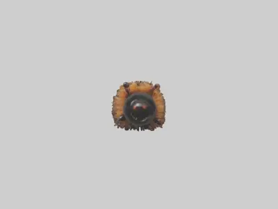 Woolly Bear Caterpillar Low-poly 3D model