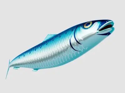 Sardine Pilchard Model 3D model