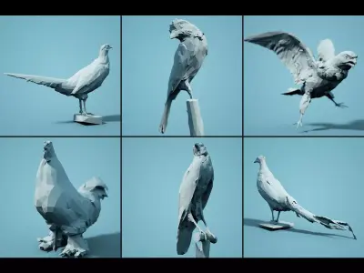 Bird Collection V2 Low Poly Models Low-poly 3D model