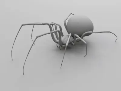 Black widow spider  v2 3D model