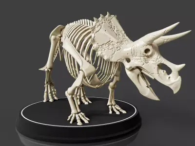 Triceratops Skeleton - Realistic Prehistoric Fossil 3D model