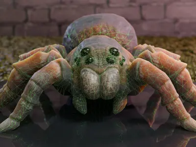 Spider Tarantula Low-poly 3D model