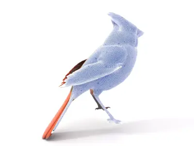 Scarlet Cardinal model pack Low-poly 3D model