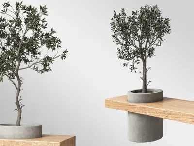 Wooden Bench with Plants Free 3D model