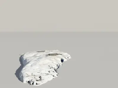 Fossil Whale Bones Scanned 3d Model 3D model