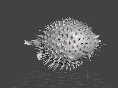 Puffer fish 3d model Free 3D model