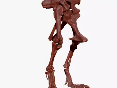 Dinosaur Giganotosaurus Hip Leg Set Skeletons 3D model