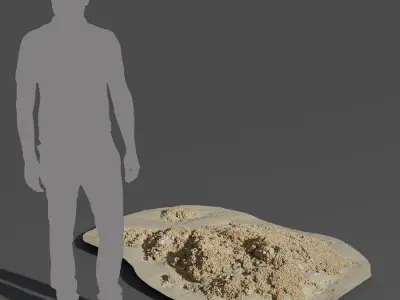  Medium Barnacle Covered Beach Rock Model 