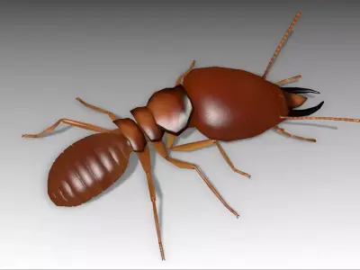 Termite ant Low-poly 3D model