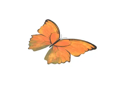 Butterfly v1 006 Low-poly 3D model