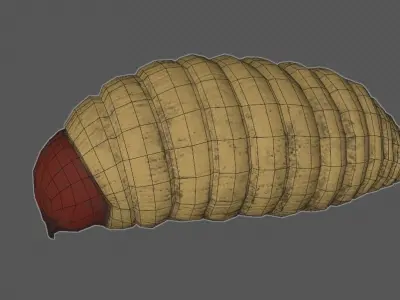 Red Palm Weevil Larvae -Rhynchophorus ferrugineu Low-poly 3D model