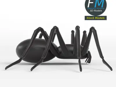 Spider base mesh 3D model