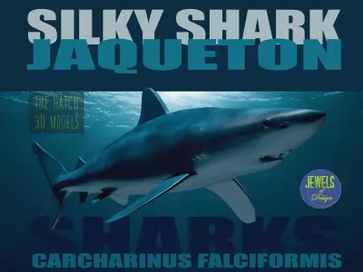 Silky Shark 3D model