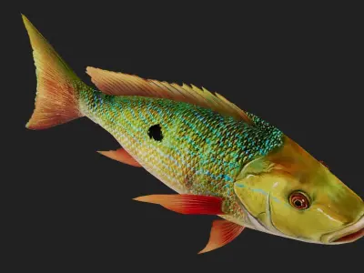 Snapper Low-poly 3D model