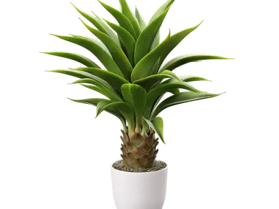  Agave Plant Succulent Potted Plant Model 