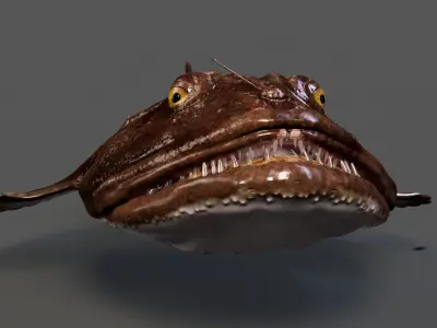 European angler Animated 3D model