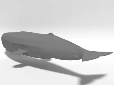 Low Poly Cartoon Sperm Whale  Low-poly 3D model