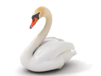 Elegant Swan model pack Low-poly 3D model