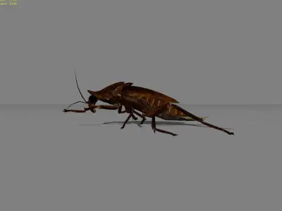 Roach Animal Low-poly 3D model