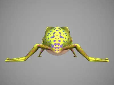 Frog Cartoon Low-poly 3D model