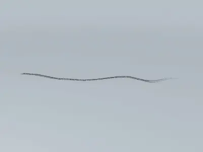 Paseo del Malecón (Part 2) Free 3D model