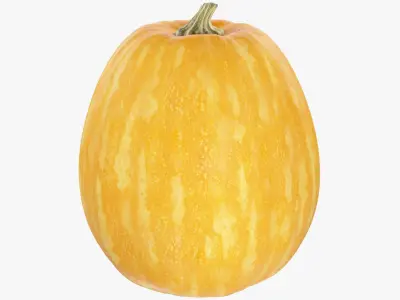Pumpkin V4 3D model
