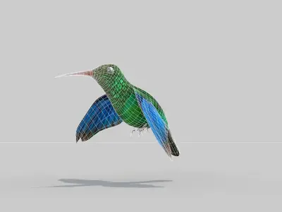 Humming Bird Two 3D model